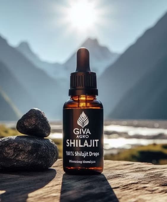 Giva Agro Shilajit dropper bottle