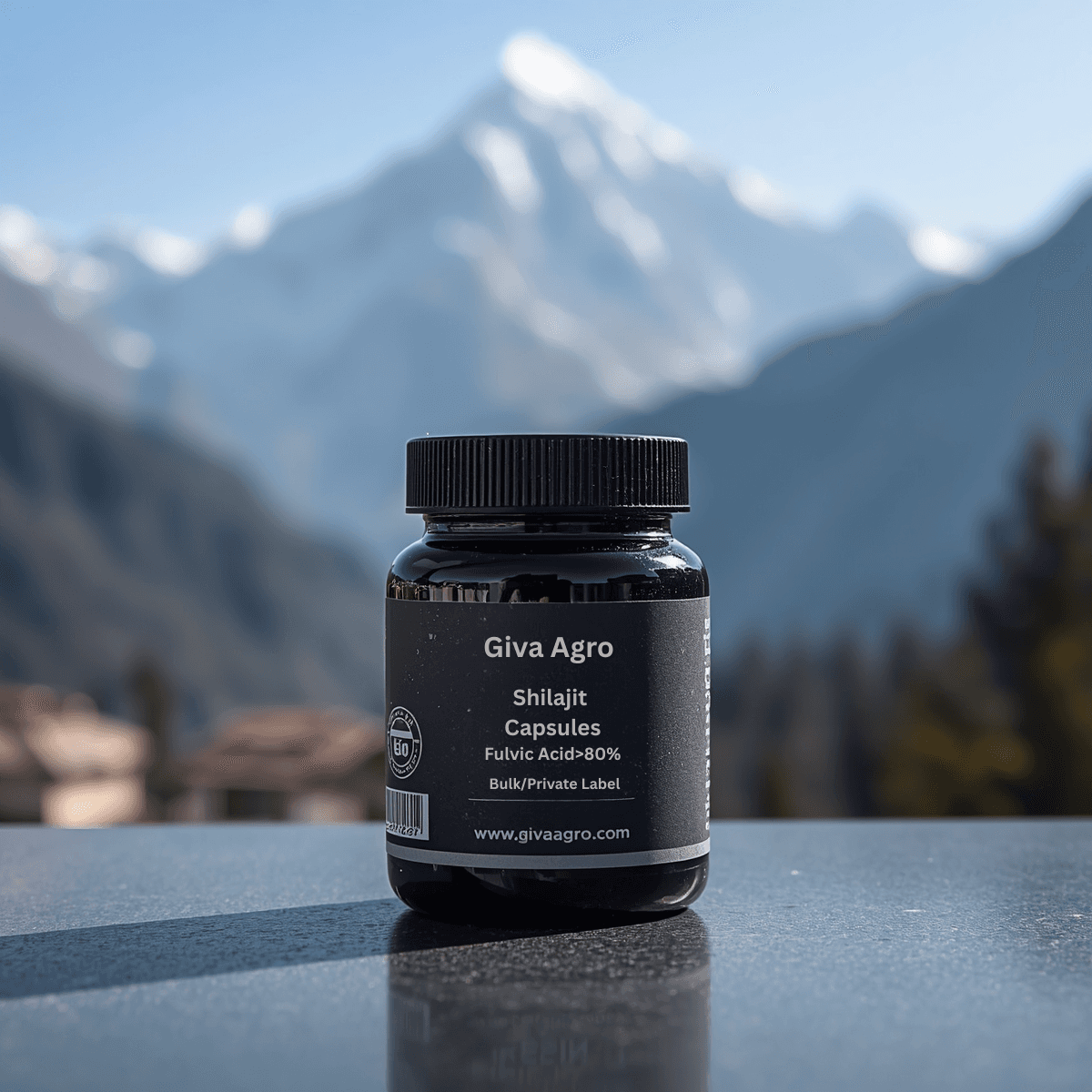 Discover the Power of Himalayan Shilajit Capsules