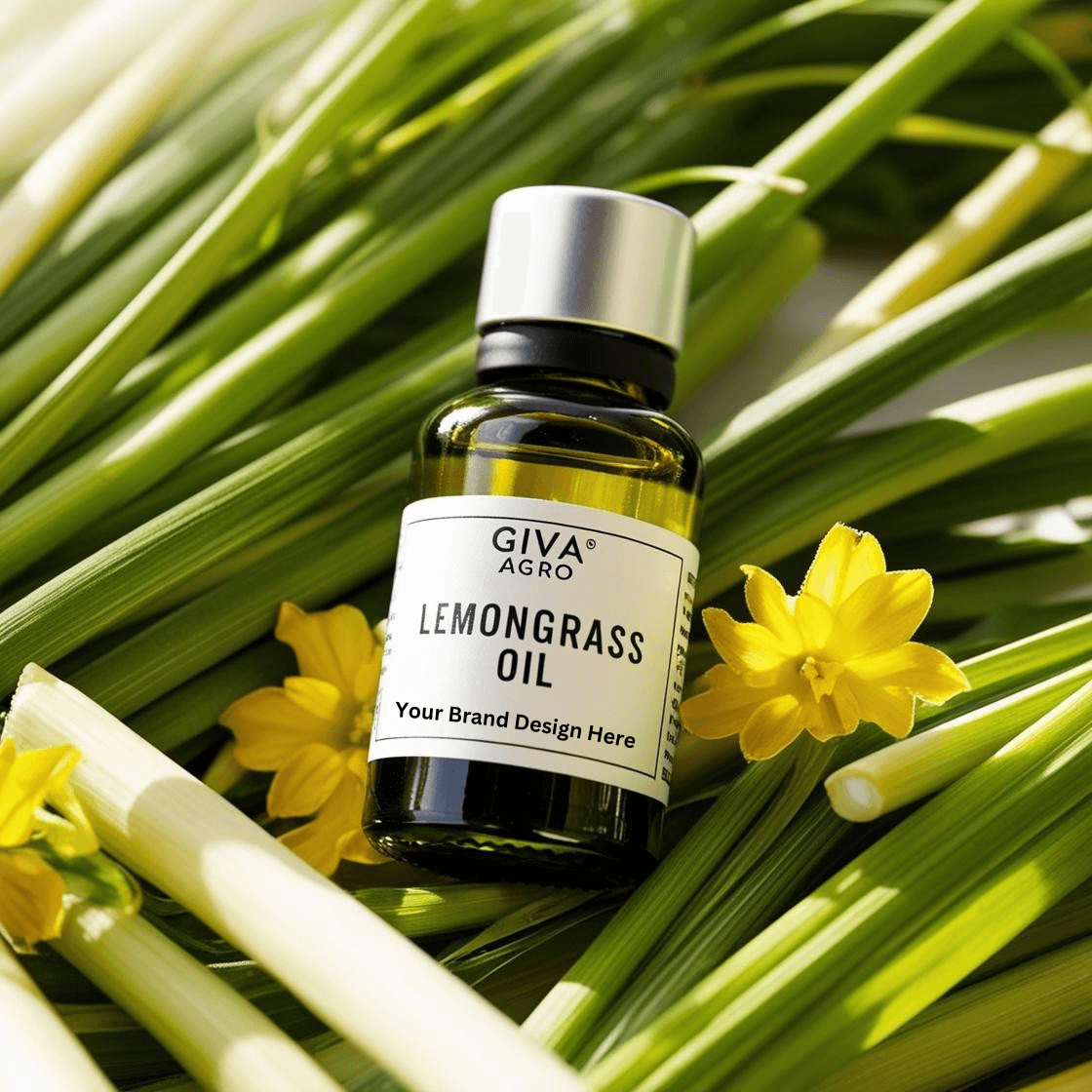 Lemongrass Oil: The Himalayan Secret to Purity & Wellness