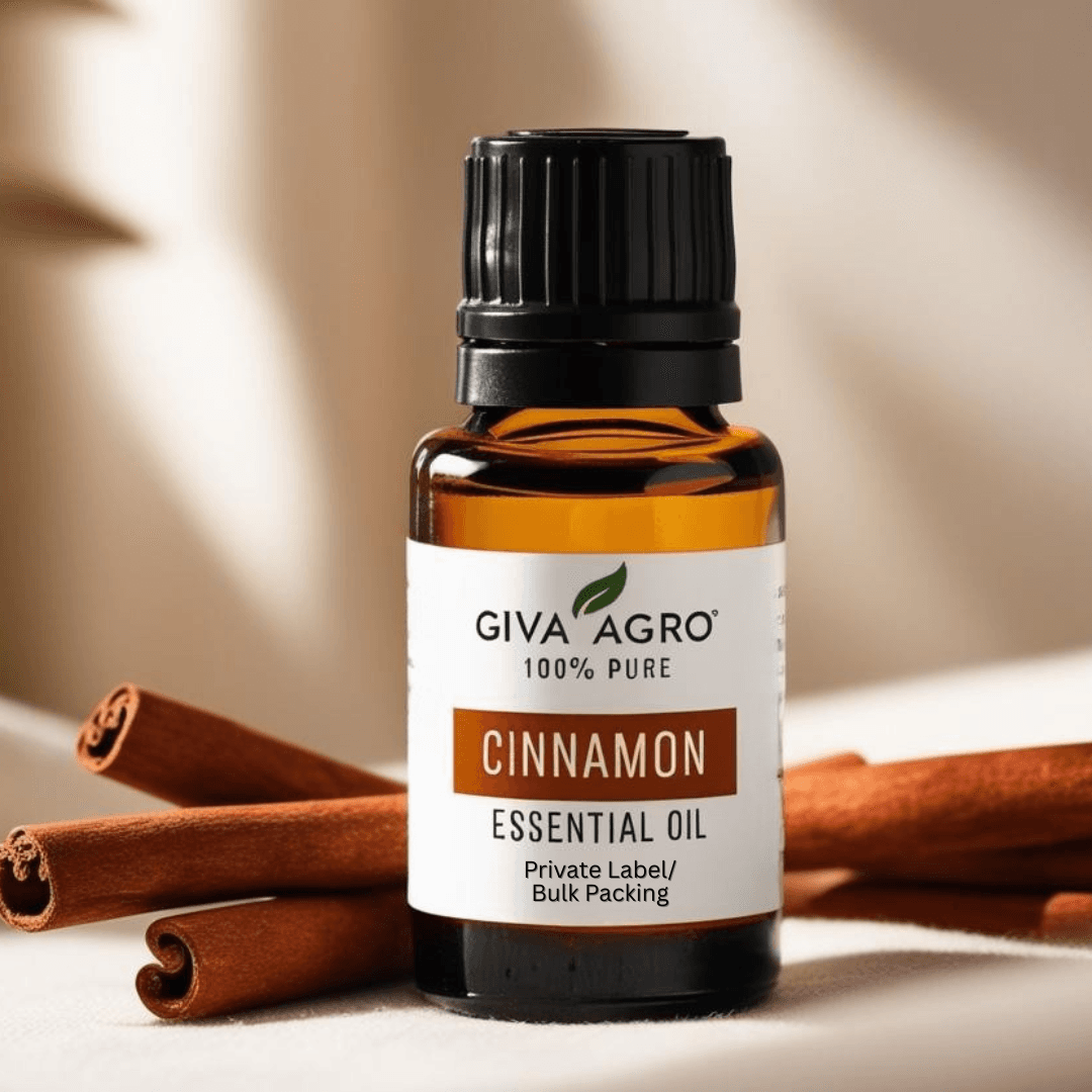 🌿 The Warming Wonder of Cinnamon Oil: Nature’s Potent Elixir
