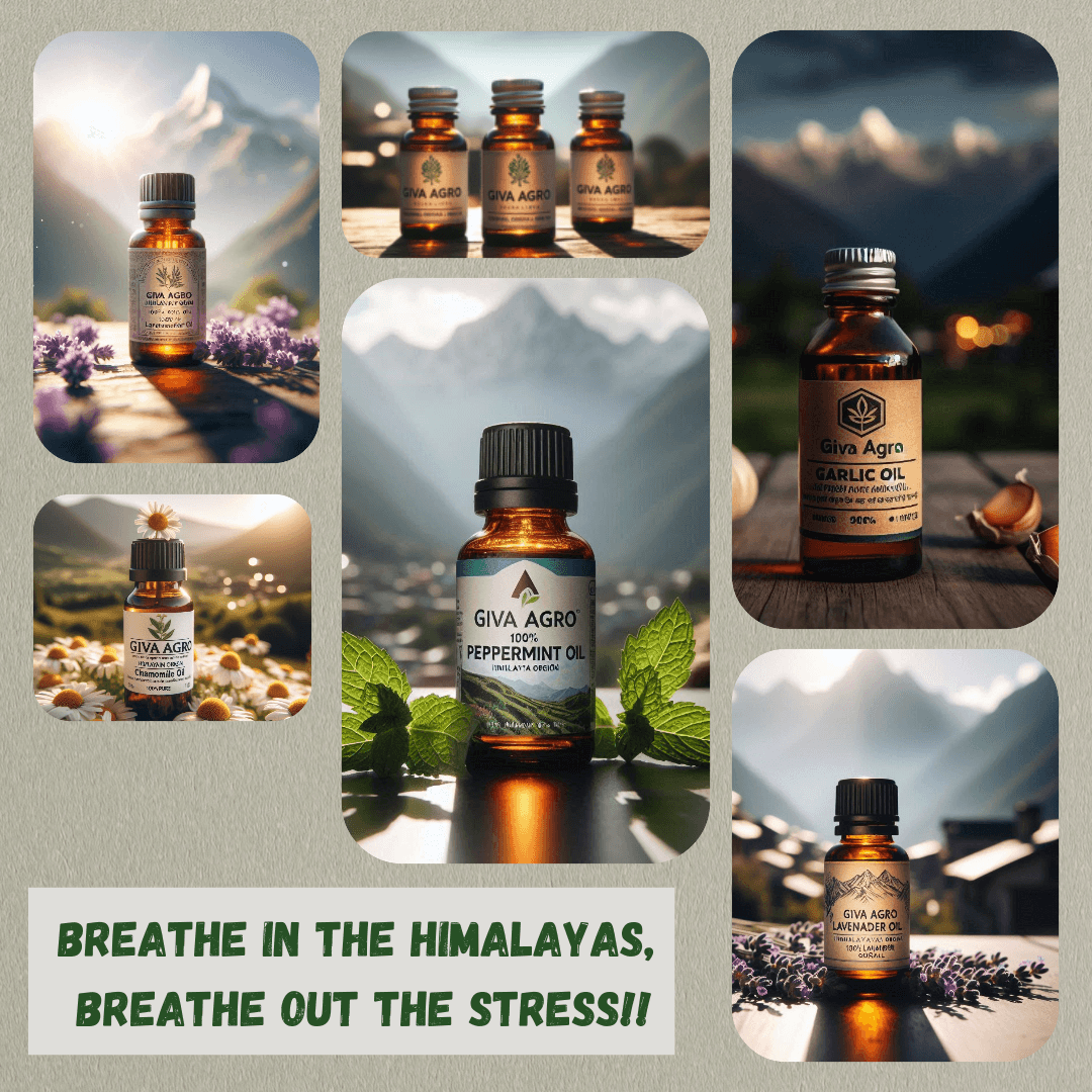 Himalaya Origin Essential Oils: Nature’s Purest Gift by Giva Agro.