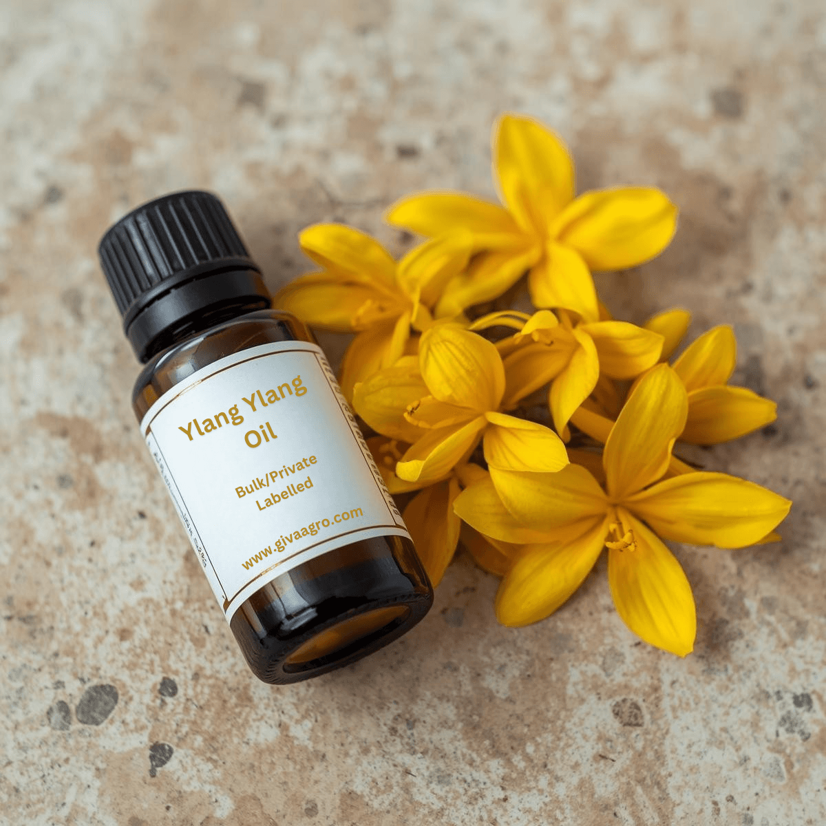 Ylang Ylang Essential Oil – Exotic Aroma, Global Opportunities
