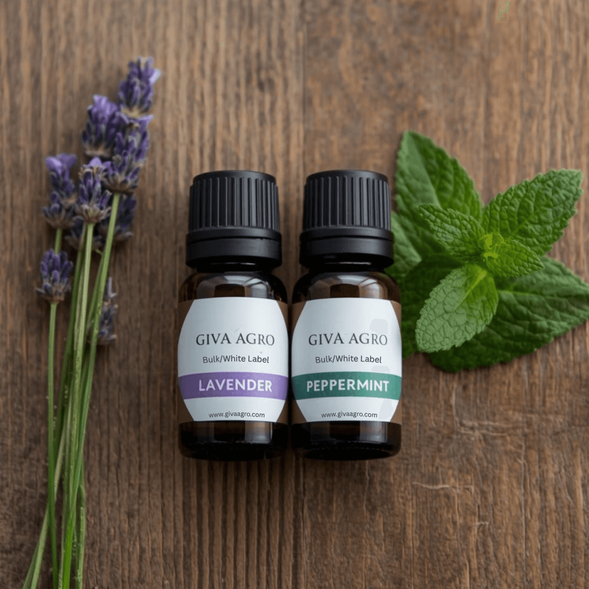 Lavender & Peppermint Essential Oils: The Power Duo Every Wellness Brand Needs.