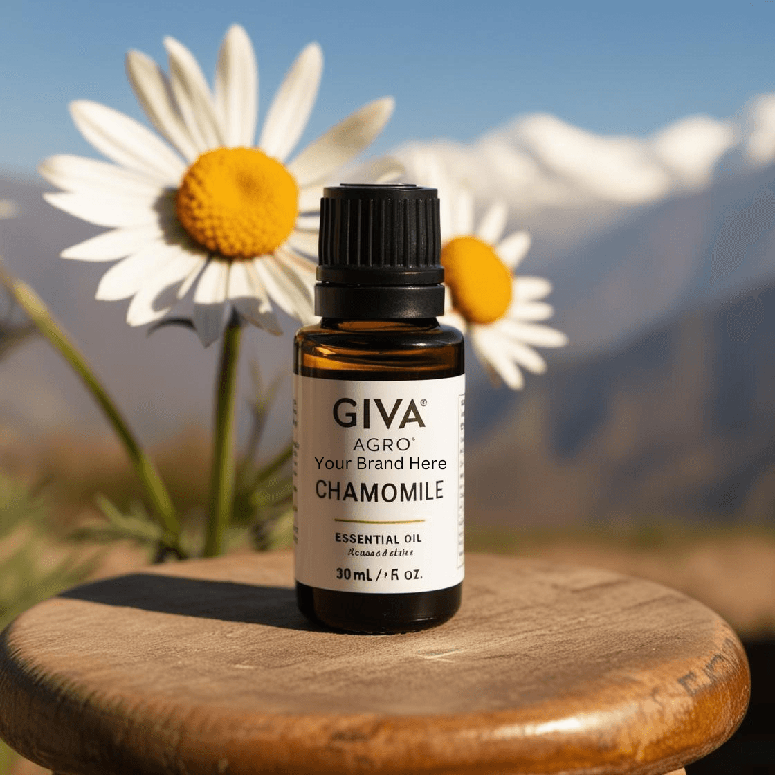 🌼 Soothe Your Senses with Giva Agro’s 100% Pure Chamomile Oil! 🌼
