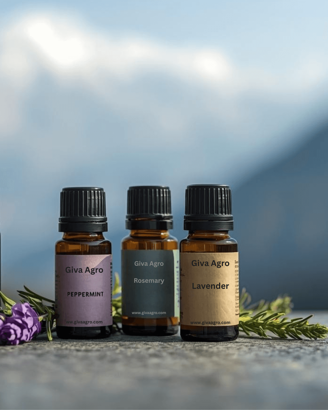 Unlocking the Power of Essential Oils: Lavender, Rosemary, and Peppermint