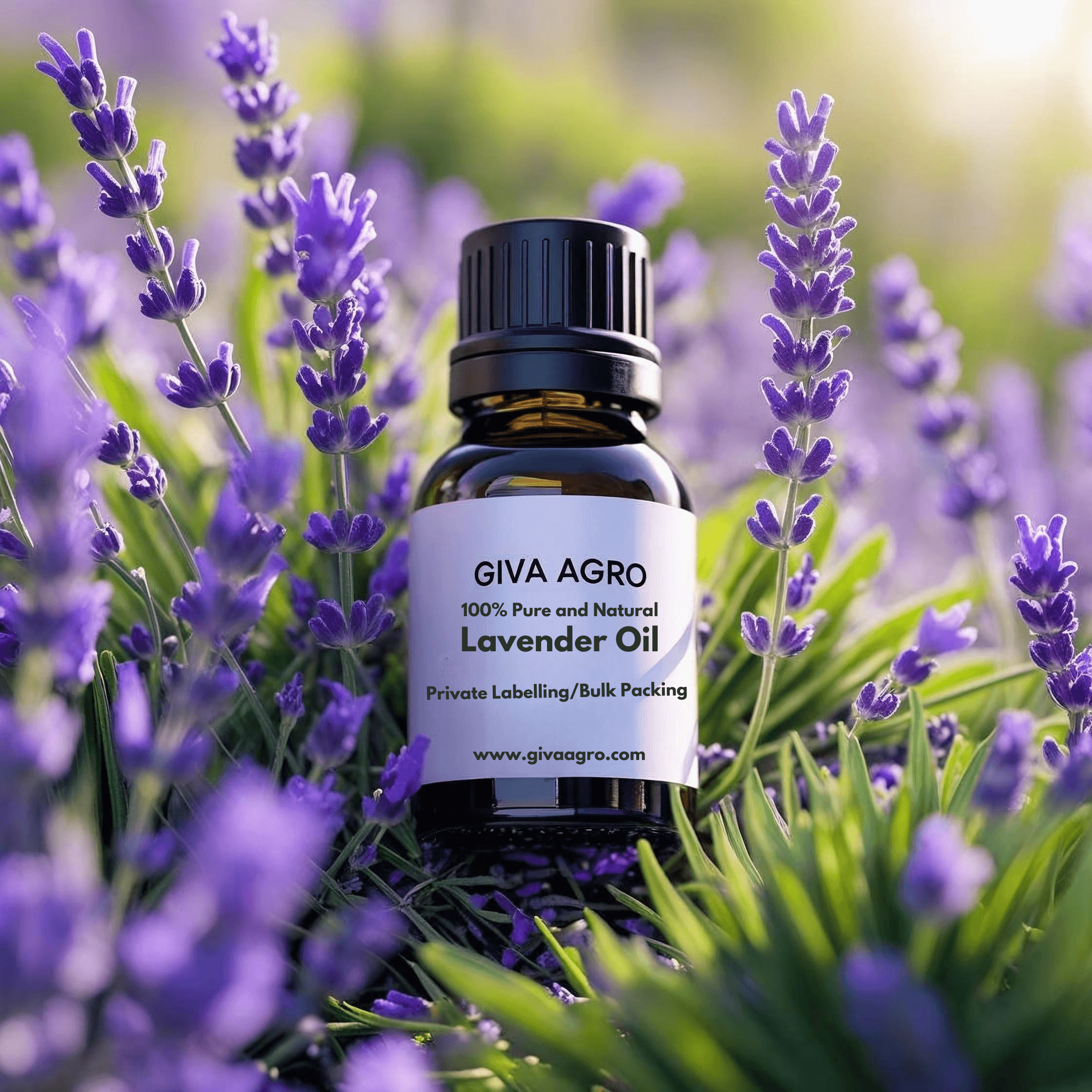 🌿Lavender Oil: Bulk and Private Labelled🌿